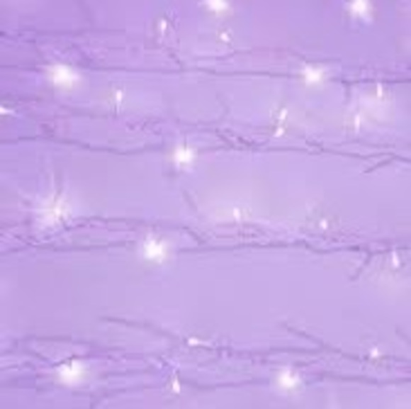 Meet your Posher, Savanna - Picture 1 of 1